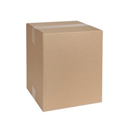 Marbig Professional Shipping Carton 255W x 255D x 305mmH Brown