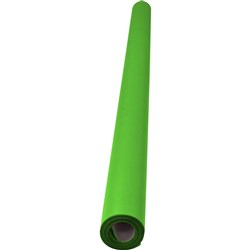 Rainbow Poster Roll 85gsm 760mm x 10m Grass Green