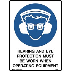Brady Mandatory Sign Hearing and Eye 450x600mm Metal