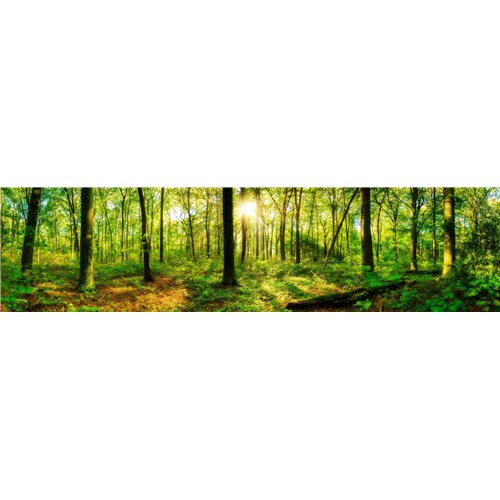 shutterstock_498073144rejigged